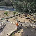 Casa Picamilho アパート *